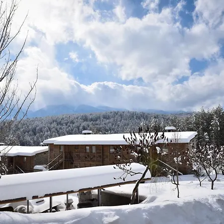 катарино 5*