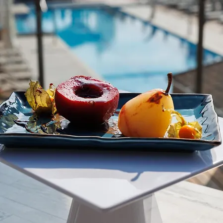 Хотел катарино