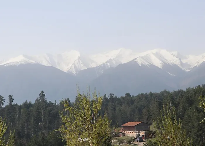 Katarino Hotel Bansko