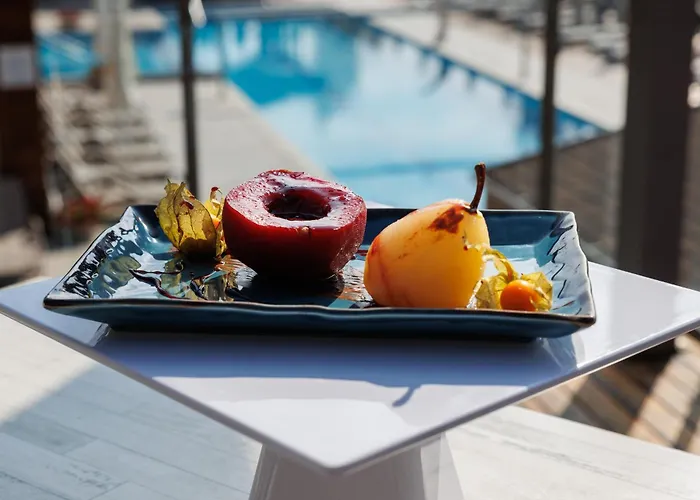 Хотел катарино